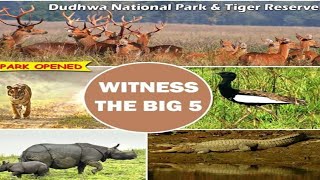 preview picture of video 'Dudhwa national park.. Jungle safari.. All views of jungle..You can see all wildlife animals. Part-2'