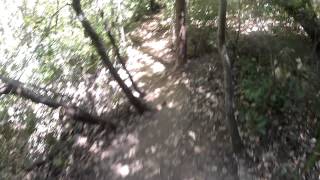 Skeggs Blue Blossom Trail