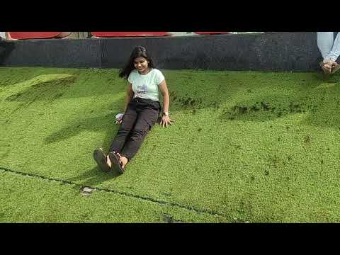 Alibaug Beach View | Alibaug