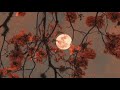 JHANJAR Lofi Slowed Reverb Jasmine Bhasin T Series Lofi