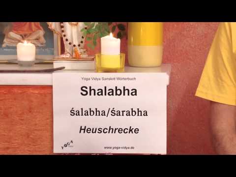 Shalabha - Heuschrecke - Sanskrit Wörterbuch