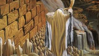 תורת ה' תמימה ומאירה - בדרכו של דוד המלך ע"ה|| השיעור השבועי פרשת בהר בחוקותי