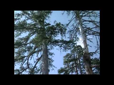 Prirodna baština BiH - Žepa