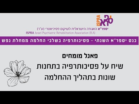 פאנל