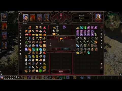 Divinity: Original Sin 2 - Conjurer Walkthrough part 13