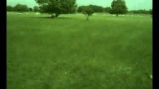 VID_20110524_135605.avi