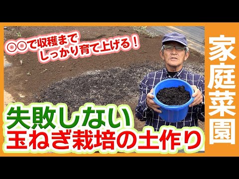 タマネギにエプソムソルトを施肥する理由とその方法?  庭園