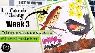Week 3 of Life in Winter Daily Watercolor Painting Challenge #lifeinwinter #dianeantonestudio