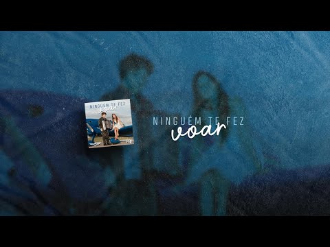 Ninguém Te Fez Voar - Waldonys