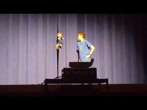 Am I a Man or a Muppet?