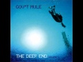 Gov't Mule - Effigy.wmv
