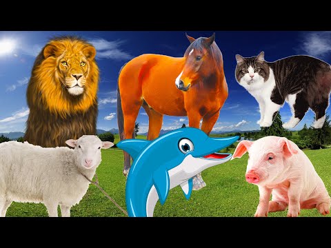 Interesting features of familiar animals: horse, dolphin, cat, pig, sheep - Part 11