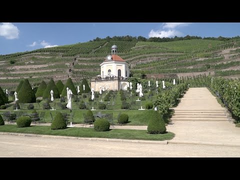 Sachsen - Der Sächsische Wein