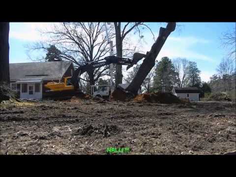 Bezbeli Ćane - Pusti neka raste (VIDEO)