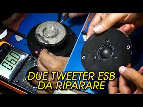 Due tweeter ESB da riparare