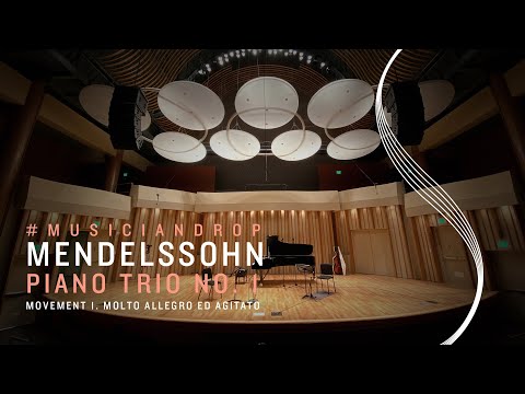 Mendelssohn: Piano Trio No. 1 in D minor, Molto allegro ed agitato — Andrew Shulman, Margaret Batjer