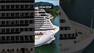 MSC SEAVIEW navio ship13/12/25 ‎⁨@cruzeiros2025⁩ chegando navio #cruzeiro #google #cruise #shorts