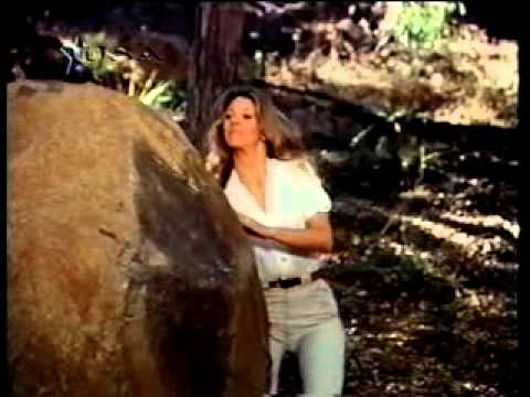 Bionic Woman - Mulher Biônica