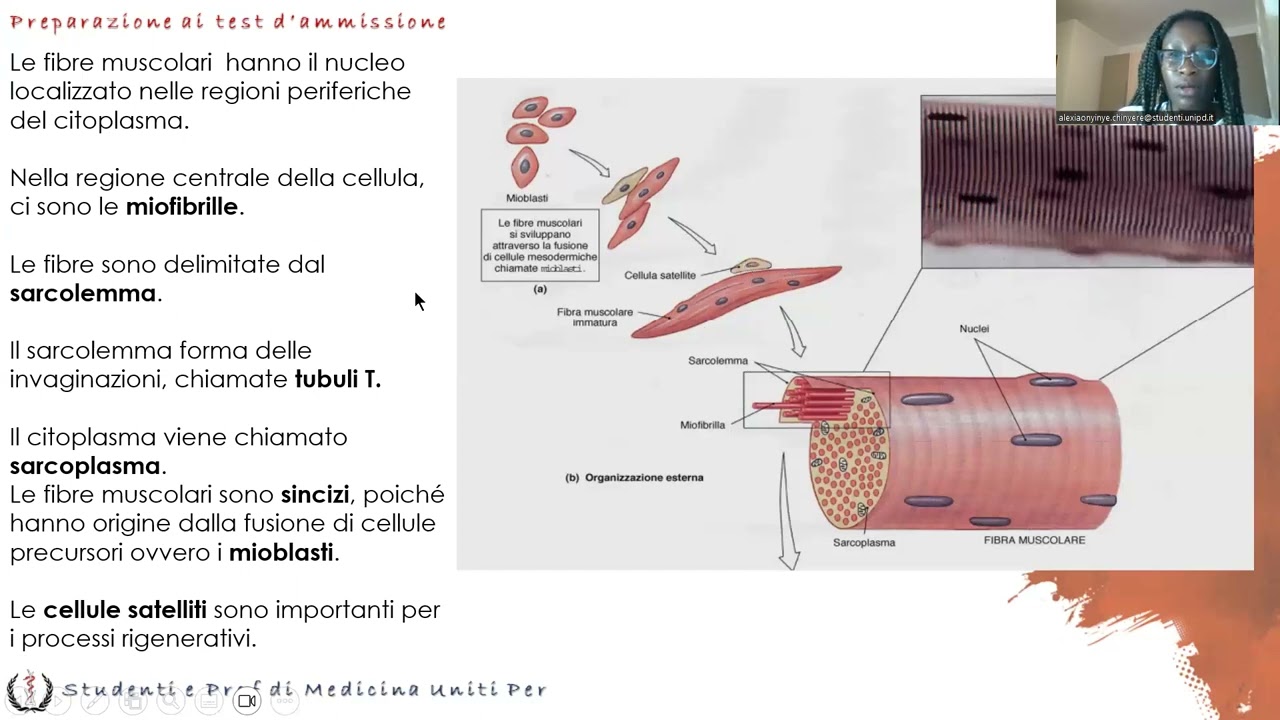 Anatomia e Fisiologia - Apparato Muscolare