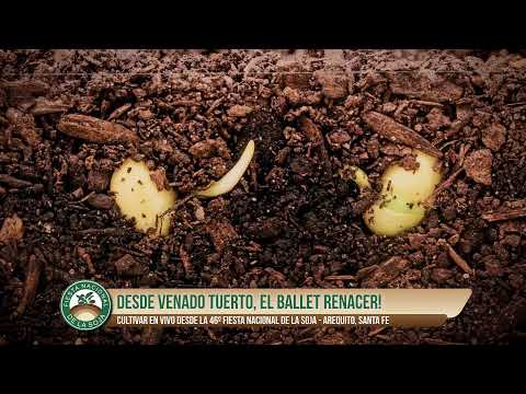 3er dìa - FNS 2025 - Ceertamen + Peña