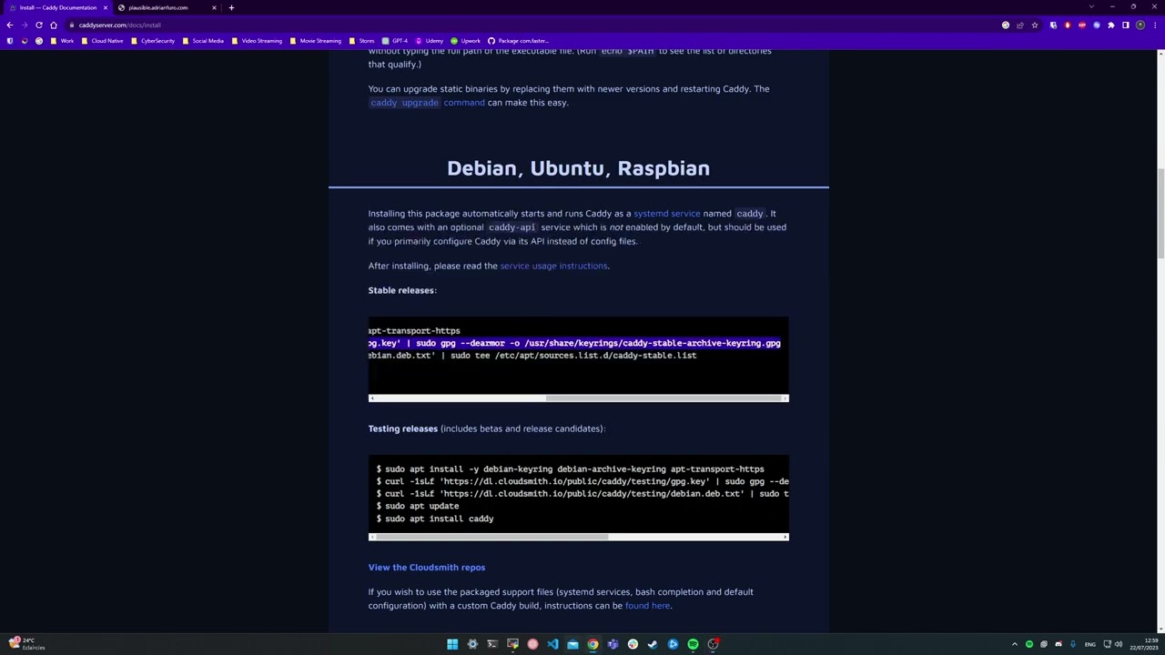 Step-by-Step Tutorial: Configuring SSL for Your Domain with Caddy Server Reverse-Proxy