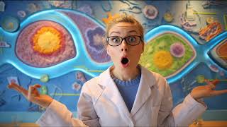 7. Sınıf Fen Bilimleri - Sperm, Yumurta, Zigot, Embriyo, Fetüs, Bebek İlişkisi şarkısı