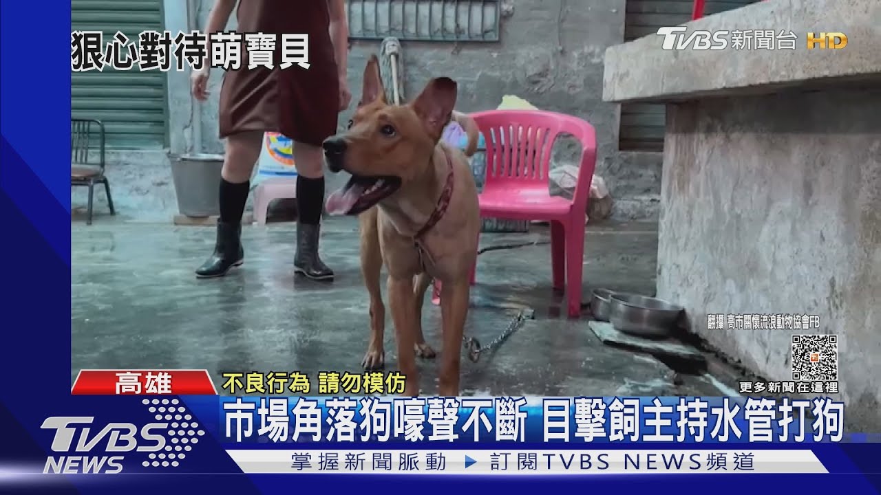 市場角落狗嚎聲不斷 民眾目擊男飼主持水管打狗
