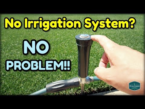 How To Water Your Lawn WITHOUT an Irrigation System