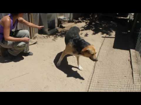Vídeo de FLAP