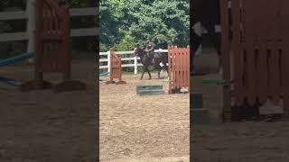 Download lagu New addition to the Chanel😘#horselife #shorts #angel #equestrianstyle mp3 Download lagu New addition to the Chanel😘#horselife #shorts #angel #equestrianstyle mp3