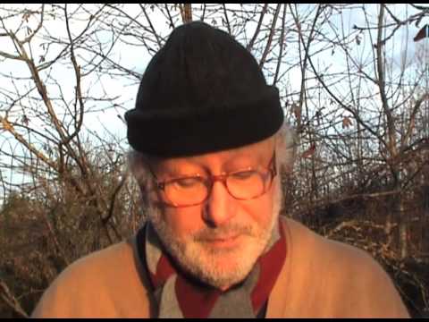 Vincent Nordont lit "La chinoise orpheline" (2012) par Gérard Courant - Lire #74