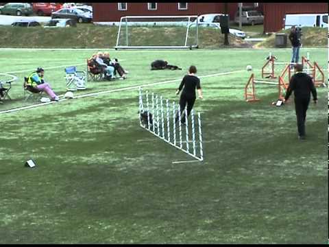 110501 Nina Hansen and Liz Jumping2 at Hove