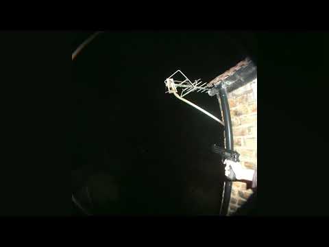 djjdsports - darling, i