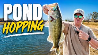 Pond Hopping in Fort Worth, Texas for BIG Pre-Spawn Bass! (February Bass Fishing Tips)