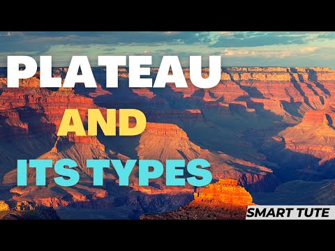 What is the difference between Intermontane Plateau and Continental Plateau?