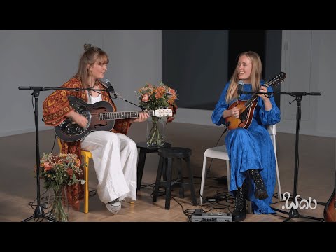 The Woodgies - "Dúlamán" (Irish folk cover filmed by Point Wav)