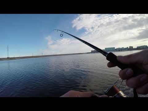 Тест SHIMANO EXSENCE S900MH/R 'Wild Contact