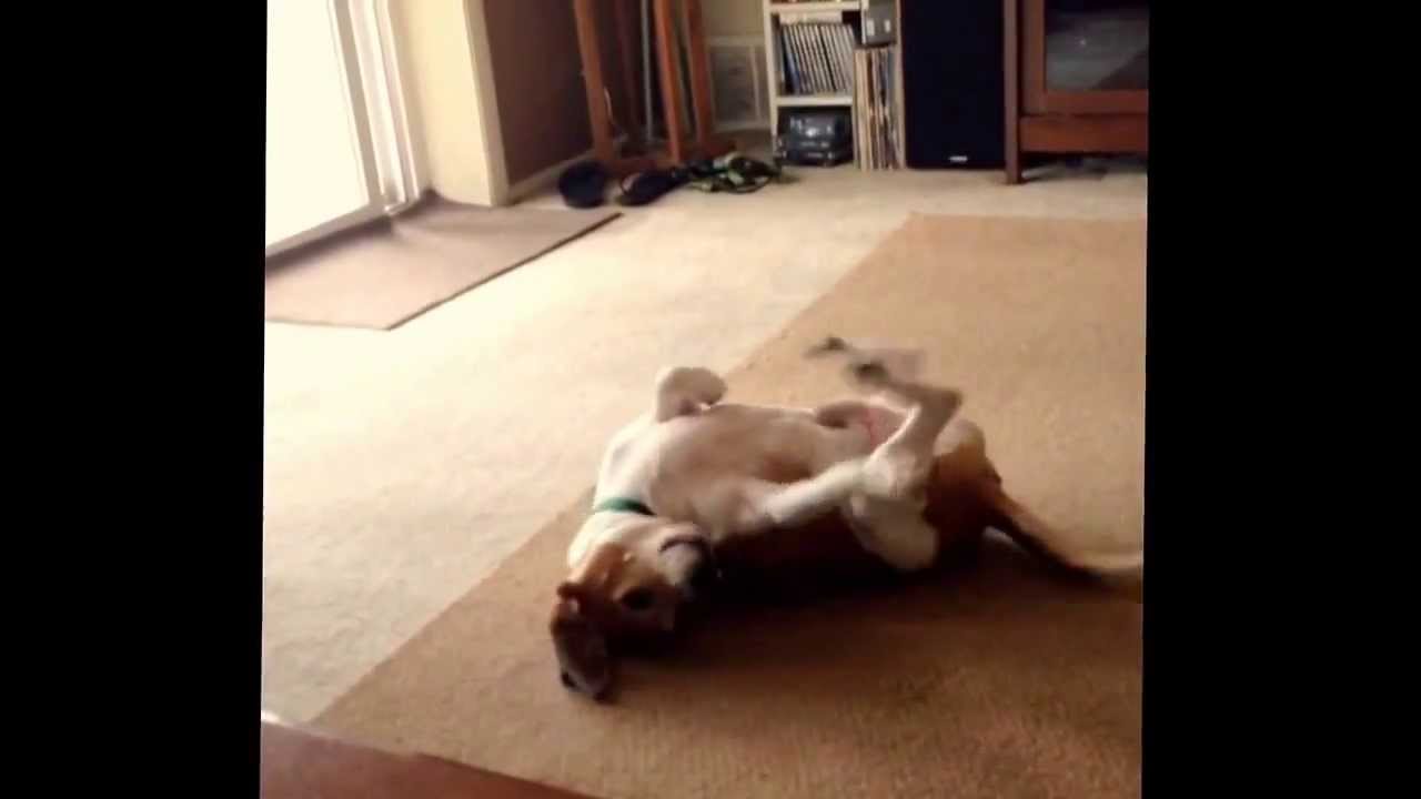 YouTube video preview