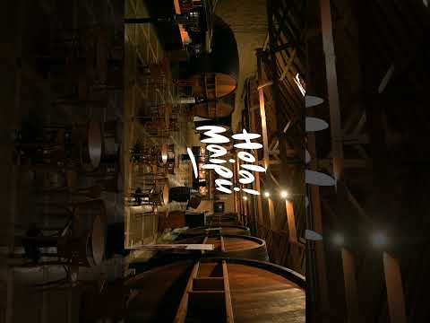 Un lugar, múltiples experiencias. Maipú Mendoza