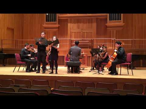 Stabat Mater, Movement 1