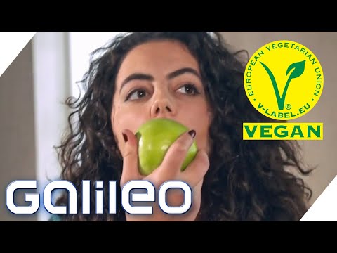 What would happen if everyone went vegan? | Galileo | ProSieben
