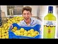 Inside A Limoncello Factory In Italy Eitan Bernath