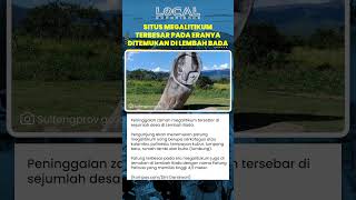 Lembah Bada Menyimpan Patung Palindo dan Beragam Peninggalan Megalitikum dari Masa Prasejarah