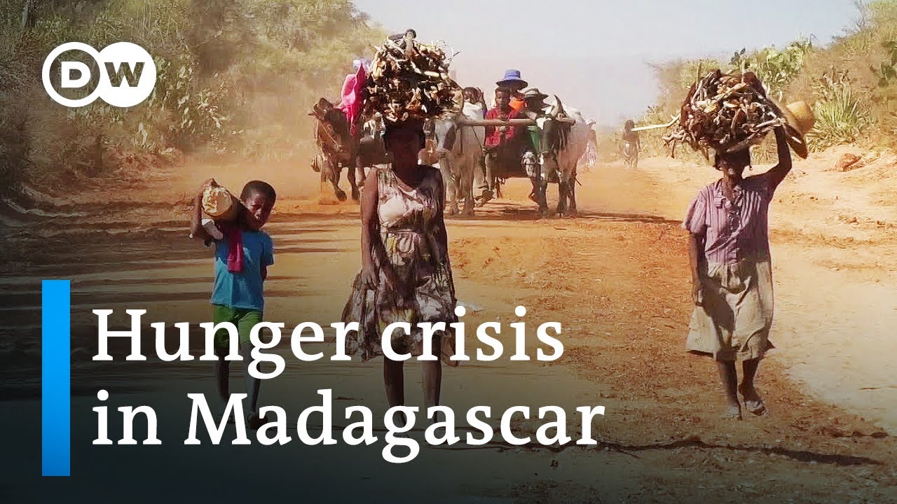 Climate change or politics? – Why Madagascar is going hungry