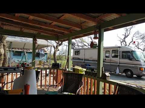 Rockport hummingbirds