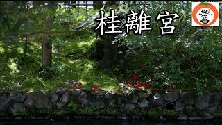 preview picture of video '桂離宮 2 beautifull Japanese garden Katsura Imperial Villa in Kyoto 【 うろうろ近畿 Travel Japan 】 京都府 京都市'