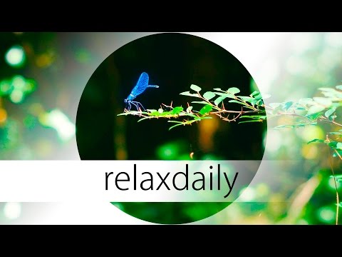 Music for Yoga, thinking, being creative and relaxation - N°039 (4K)
