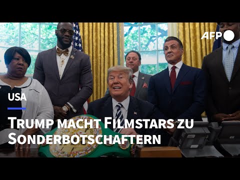Gibson, Stallone, Voight: Trump macht Stars zu Sonderbotschaftern | AFP