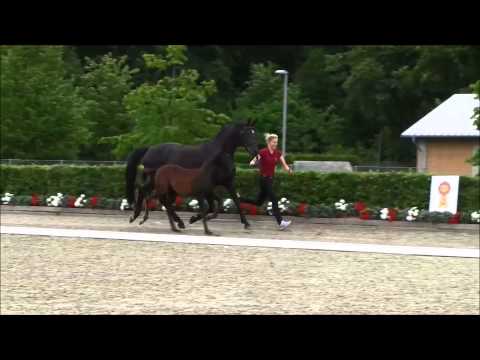 KN 21 HF v. Finest - San Amour