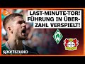 Werder Bremen Bayer 04 Leverkusen Bundesliga 2 Spieltag 2025 26 Sportstudio